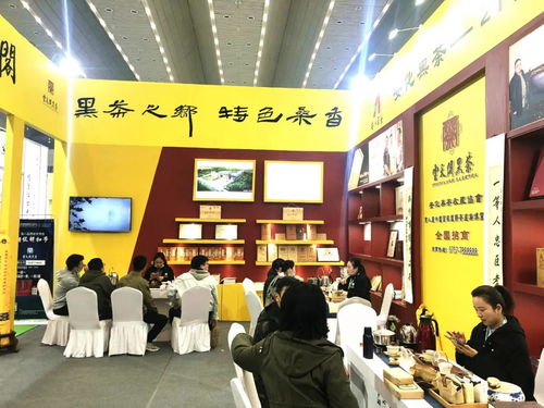 古都長(zhǎng)安與天府之國(guó)的情緣交響 愛(ài)之緣家政的雙城故事